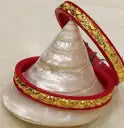 Purabi  Plastic Gold-plated Shakha Pola  (Pack of 2)